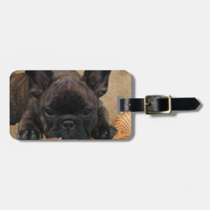 Französische Bulldogge am Strand French Bulldog Gepäckanhänger