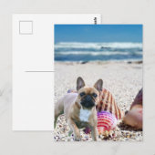 Französische Bulldogge am Strand French Bulldog Postkarte (Vorne/Hinten)