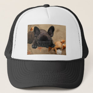Französische Bulldogge am Strand French Bulldog  Truckerkappe