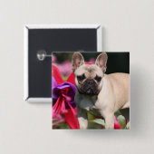 Französische Bulldogge Anstecknadel (Vorne & Hinten)