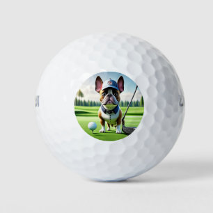 Französische Bulldogge auf Golfplatz im Urlaub Golfball