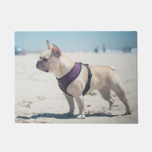 Französische Bulldogge auf Strand Fußmatte (Vorderseite)