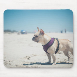 Französische Bulldogge auf Strand Mousepad