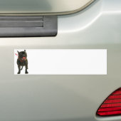 Französische Bulldogge Autoaufkleber (Auf Auto)