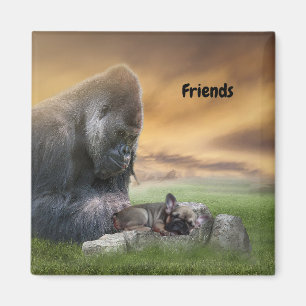 Französische Bulldogge Beste Freunde French Bulldo Magnet