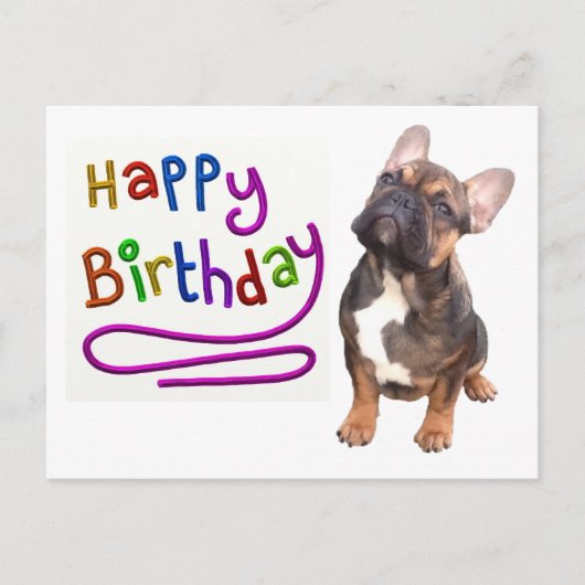 Französische Bulldogge Birthday French Bulldog Postkarte (Vorderseite)