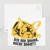 Französische Bulldogge: Blond! Postkarte (Vorne/Hinten)