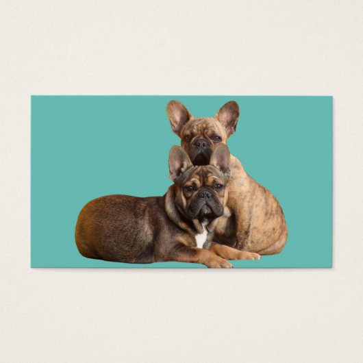 Französische Bulldogge Blumen French Bulldog (Vorderseite)