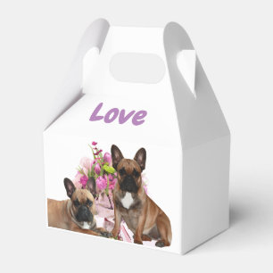 Französische Bulldogge Blumen French Bulldog Feier Geschenkschachtel
