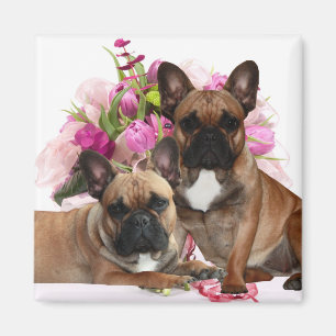 Französische Bulldogge Blumen French Bulldog Feier Magnet
