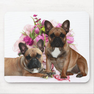 Französische Bulldogge Blumen French Bulldog Feier Mousepad