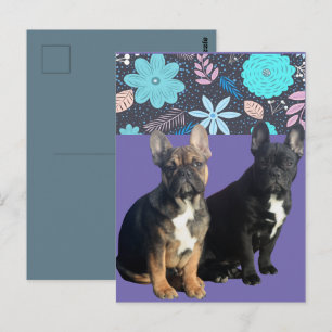Französische Bulldogge Blumen French Bulldog Postkarte