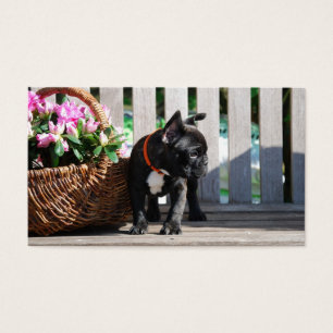 Französische Bulldogge Blumenkorb French Bulldog