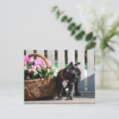 Französische Bulldogge Blumenkorb French Bulldog Postkarte (Stehend Vorderseite)