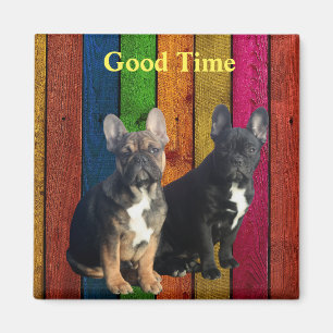 Französische Bulldogge Bunt French Bulldog Magnet