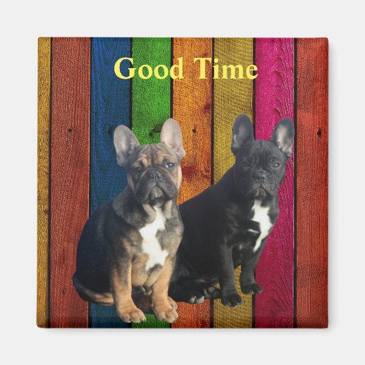 Französische Bulldogge Bunt French Bulldog Magnet (Vorne)