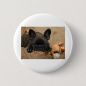Französische Bulldogge Button (Vorderseite)