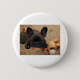 Französische Bulldogge Button