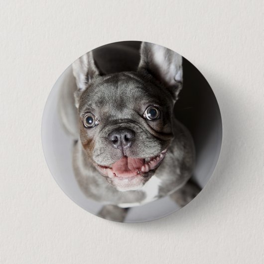 Französische Bulldogge Button (Vorderseite)