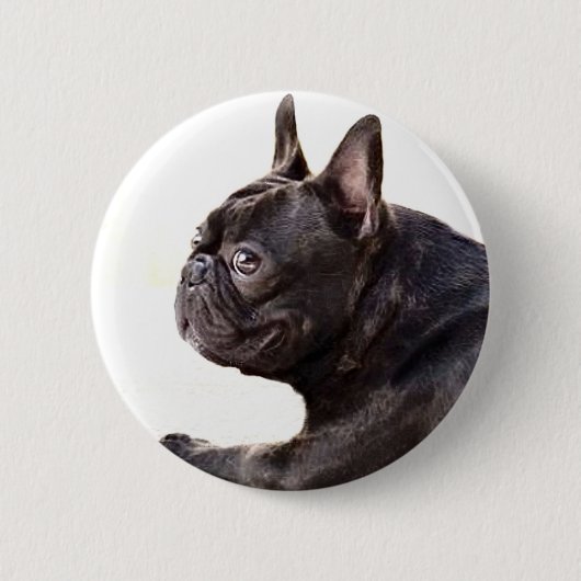 Französische Bulldogge Button (Vorderseite)
