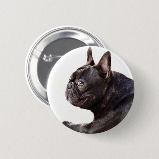 Französische Bulldogge Button (Vorne & Hinten)