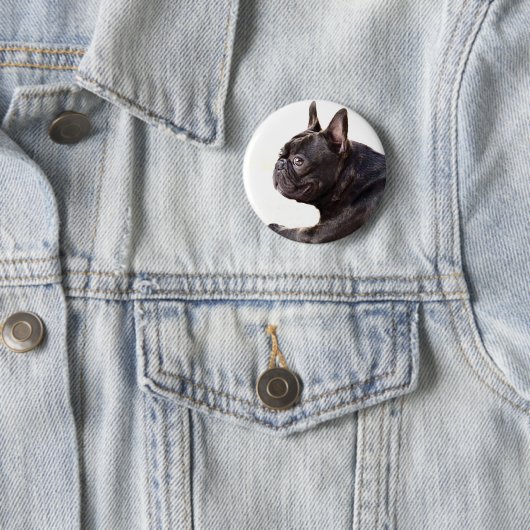 Französische Bulldogge Button (Beispiel)