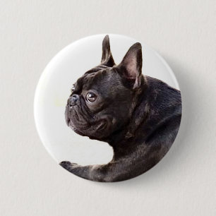 Französische Bulldogge Button