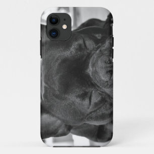 Französische Bulldogge Case-Mate iPhone Hülle