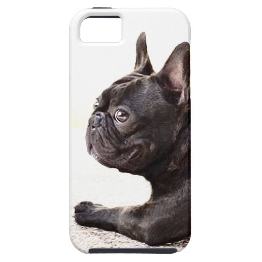 Französische Bulldogge Case-Mate iPhone Hülle (Rückseite)