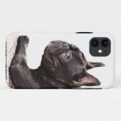 Französische Bulldogge Case-Mate iPhone Hülle (Rückseite (Horizontal))