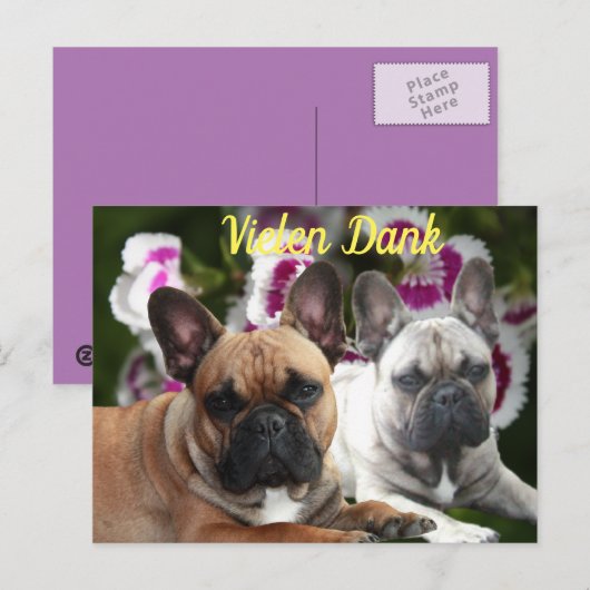 Französische Bulldogge Danke French Bulldog  Postkarte (Vorne/Hinten)