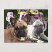 Französische Bulldogge Danke French Bulldog  Postkarte (Vorderseite)