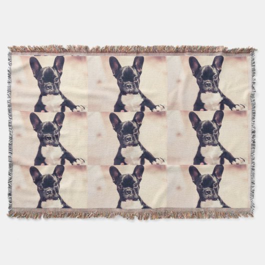 Französische Bulldogge Decke (Vorderseite)