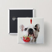 Französische Bulldogge, die einen roten Pfeffer Button (Vorne & Hinten)