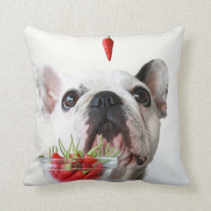 Französische Bulldogge, die einen roten Pfeffer Kissen