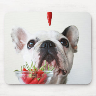 Französische Bulldogge, die einen roten Pfeffer Mousepad