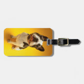Französische Bulldogge, die oben schaut Gepäckanhänger (Vorderseite horizontal)