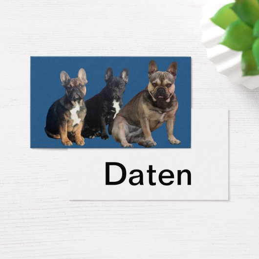 Französische Bulldogge drei Freunde French Bulldog (Schreibtisch)