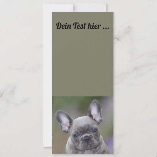 Französische Bulldogge Einladung  (Rückseite)