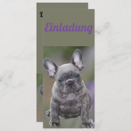 Französische Bulldogge Einladung (Vorne/Hinten)