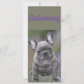 Französische Bulldogge Einladung (Vorderseite)