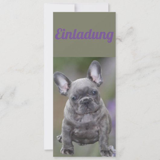 Französische Bulldogge Einladung  (Vorderseite)
