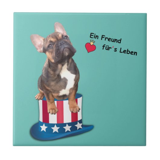 Französische Bulldogge Finn als Baby Fliese (Vorderseite)