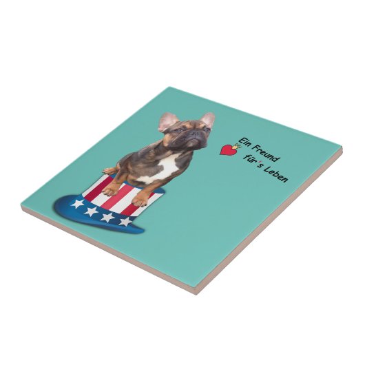 Französische Bulldogge Finn als Baby Fliese (Seite)