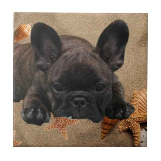 Französische Bulldogge Fliese (Vorderseite)