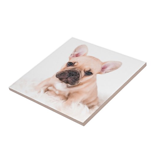 Französische Bulldogge Fliese (Seite)