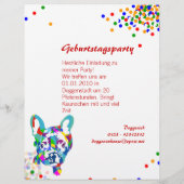 Französische Bulldogge Flyer (Hinten)