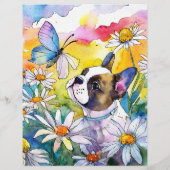 Französische Bulldogge Flyer (Hinten)
