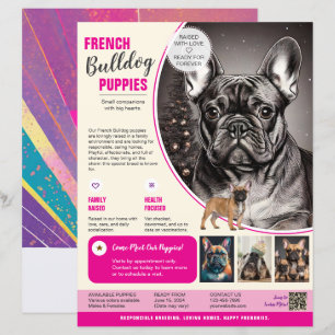 Französische Bulldogge Flyer Lila