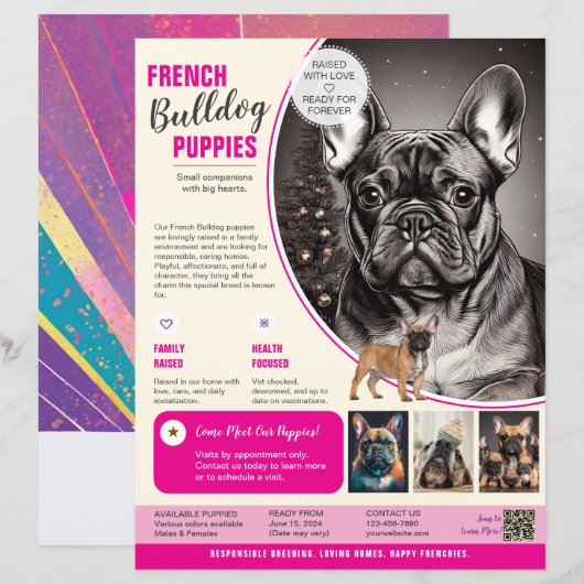 Französische Bulldogge Flyer Lila (Vorne/Hinten)